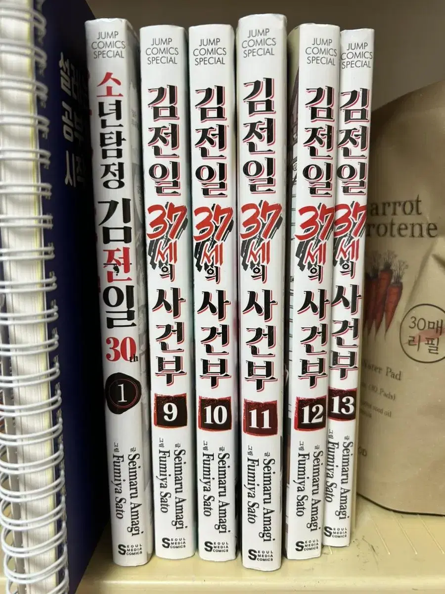 김전일 37세의 사건부 9~13권, 김전일 30th 1권